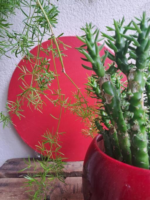 ז'נווילייה Appartement Cosy Avec Jardin Et Parking מראה חיצוני תמונה