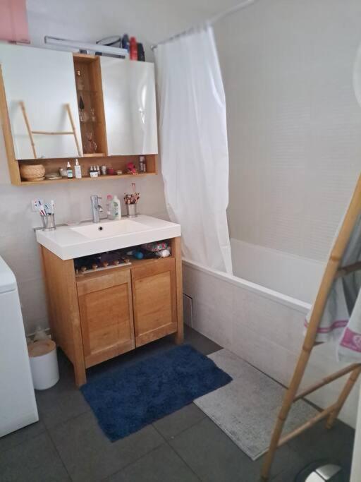 ז'נווילייה Appartement Cosy Avec Jardin Et Parking מראה חיצוני תמונה